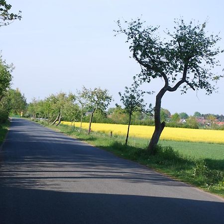 Langwedel  Ferienwohnung Im Grunen - Hof Blohme מראה חיצוני תמונה