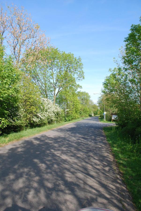 Langwedel  Ferienwohnung Im Grunen - Hof Blohme מראה חיצוני תמונה